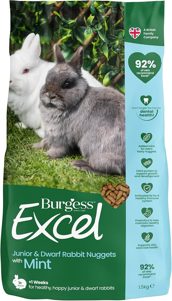 BurgessExcelJunior