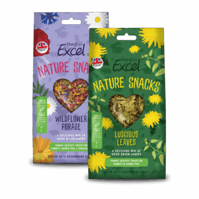 Burgess Excel Nature Snacks Forage Varieties - Image 1