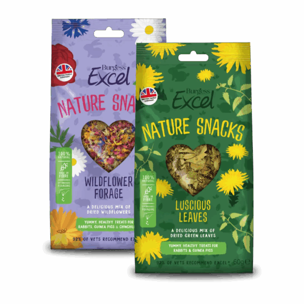 BurgessNatureSnacksForage