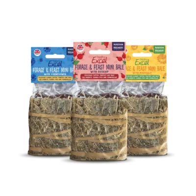 Excel Forage & Feast Mini Hay Bales - Image 1