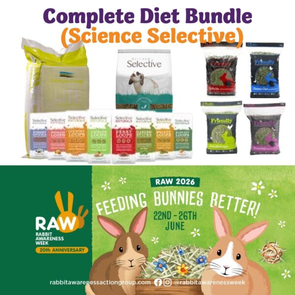 RAW26_Bundle3