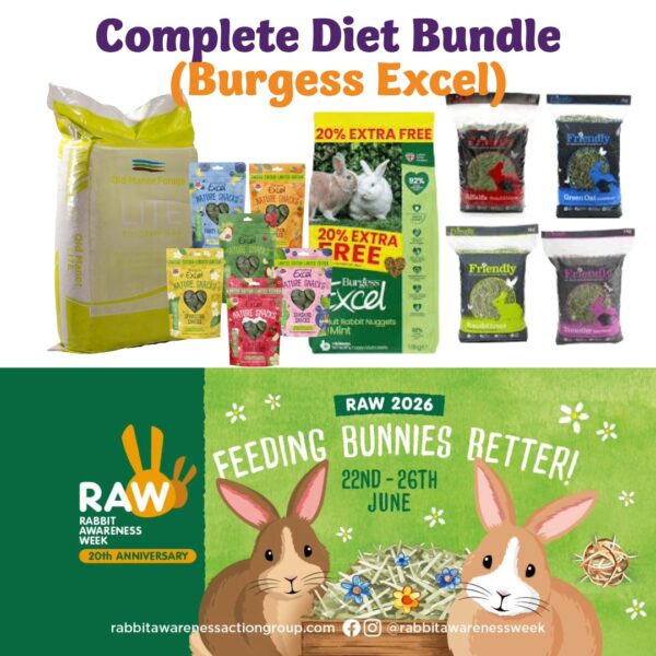 RAW26_Bundle3b