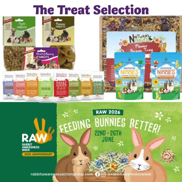 RAW26_Bundle6